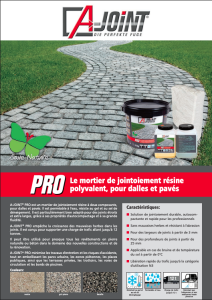 A-Joint Pro